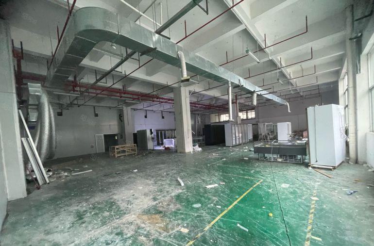 黄江镇原房东一楼1280平5.5米高低价出租23可谈