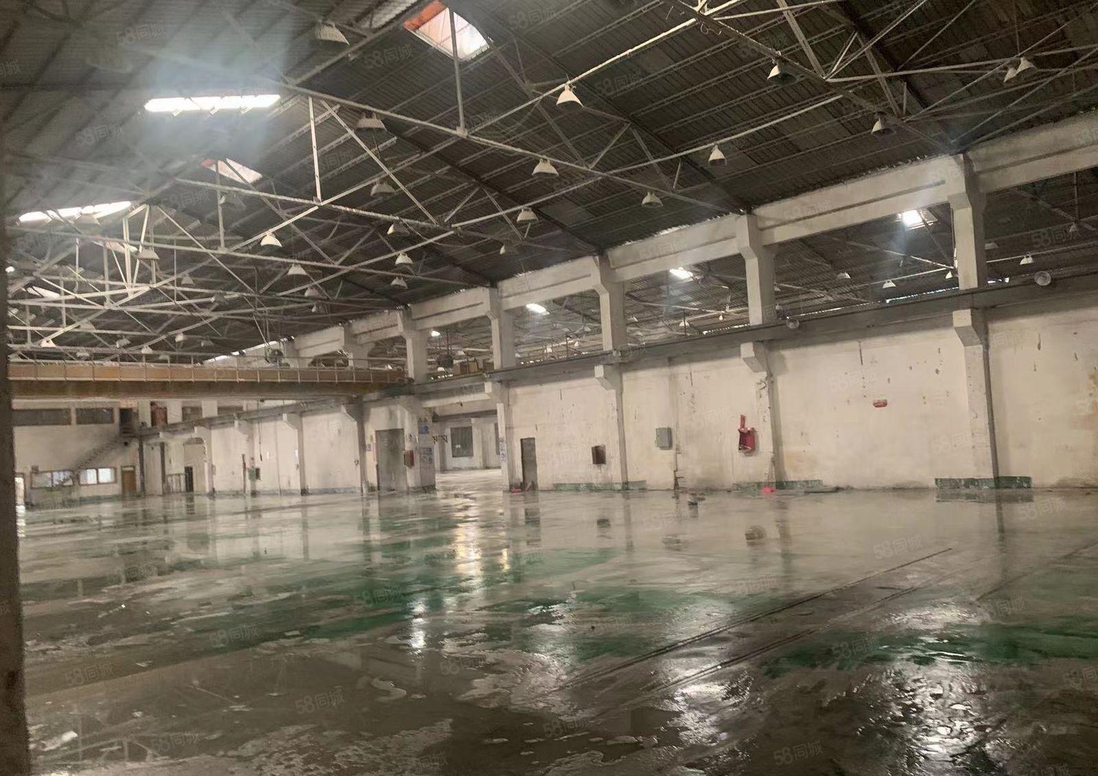 黄江镇中心滴水9米高钢构独院12800平方米出租