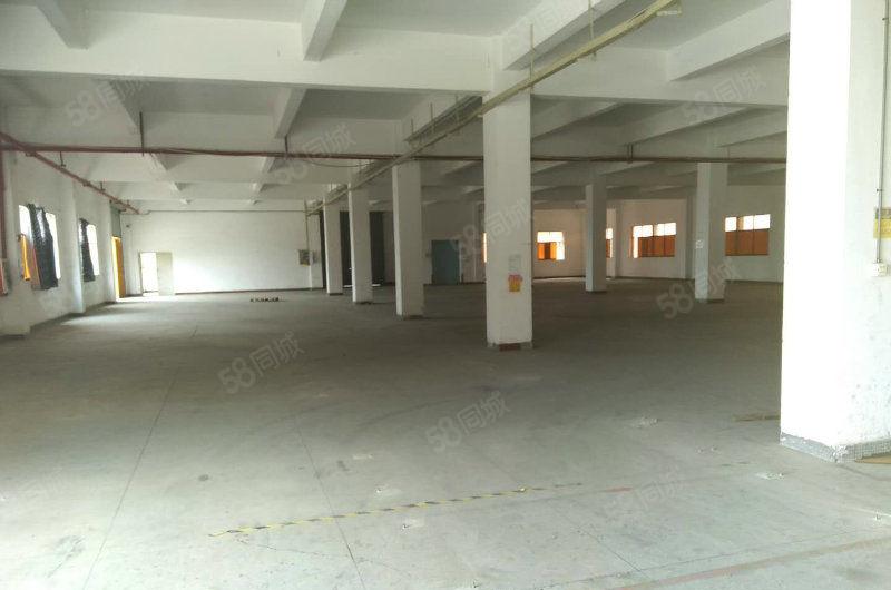 黄江镇高速出口标准厂房独院10000平米出租