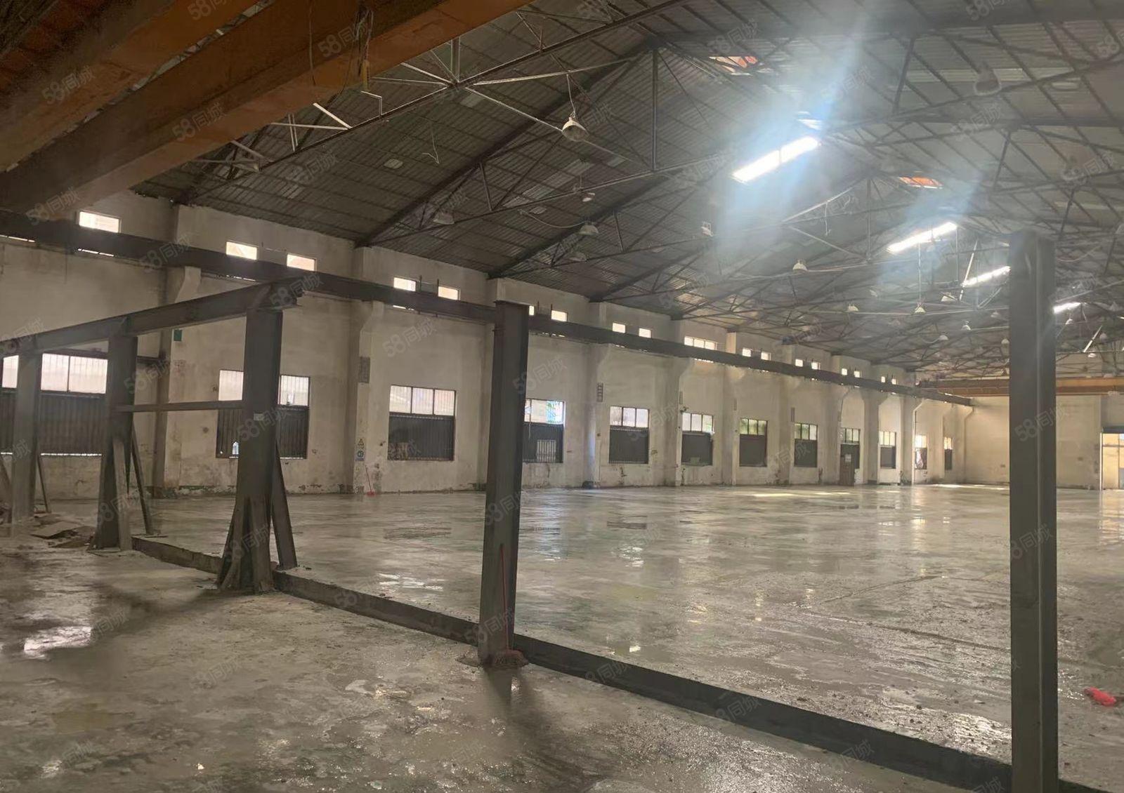 黄江镇中心滴水9米高钢构独院12800平方米出租