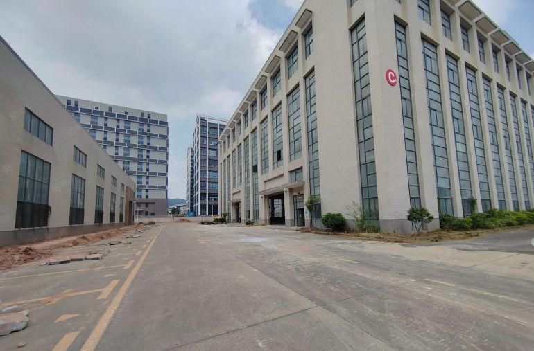 黄江镇临深标准厂房，园区独栋，14层，首层8米高，形象好