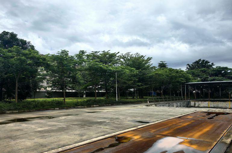 临深片新出红本砖墙到顶带现成行车钢构厂房出租