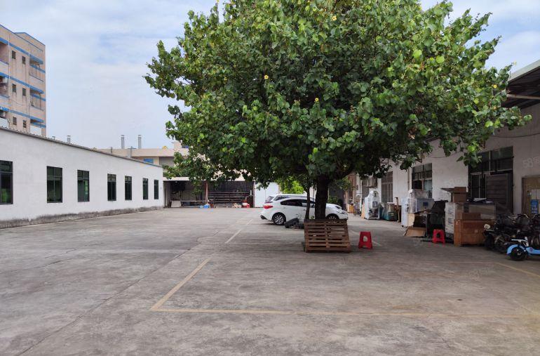 黄江镇原房东独院厂房出租超大空地全新地坪漆玻璃办公室。