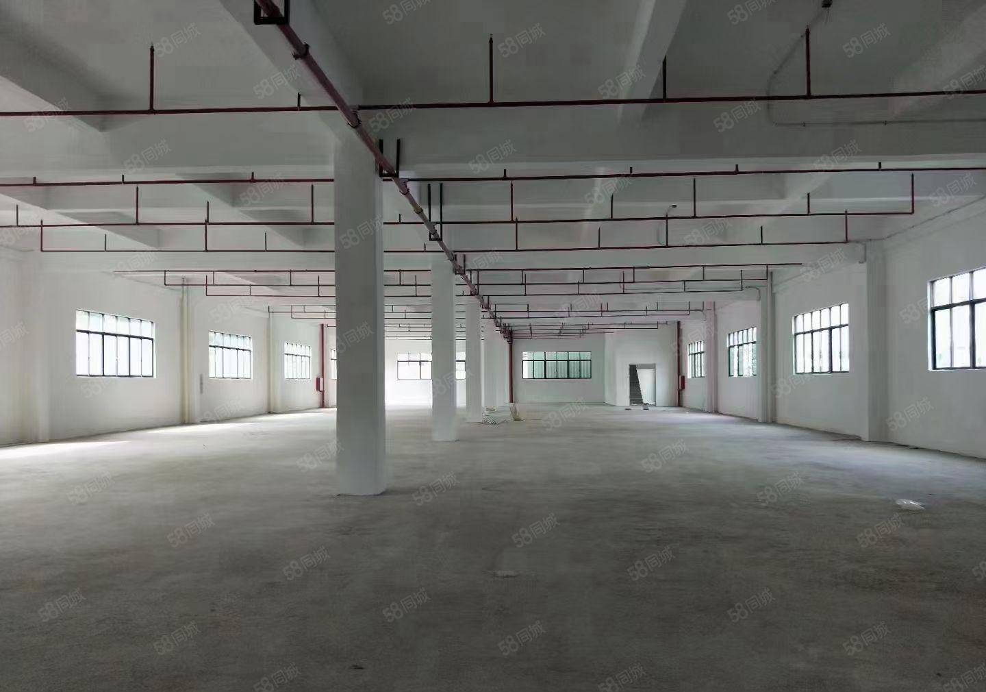 黄江新出独院厂房13000平出租，全新翻新形象好空地大