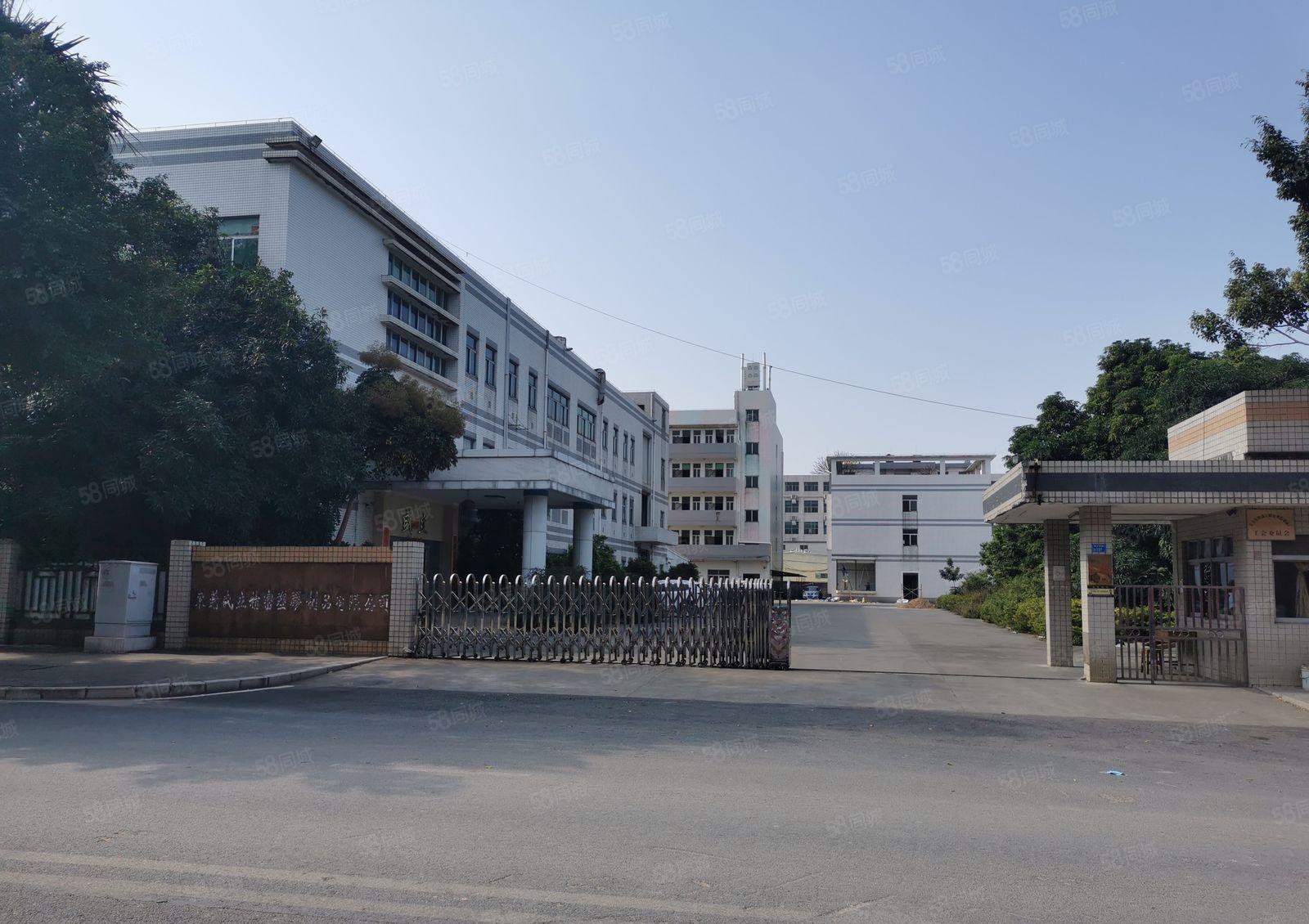 黄江原房东独院厂房出租可办环评滴水