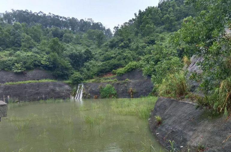 带鱼塘的独栋大别墅，有红本，原房东物业，行业不限可签年限长