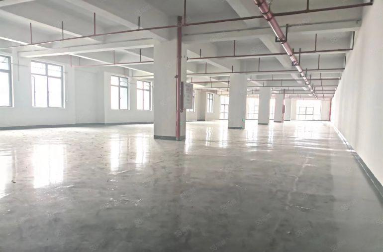 全新厂房，全新地坪漆，原房东自建厂房，自已直租，11块一平