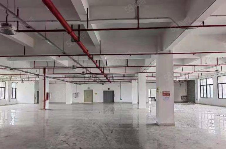 黄江全新工业园区内分租整层4000平可分租1000平起分