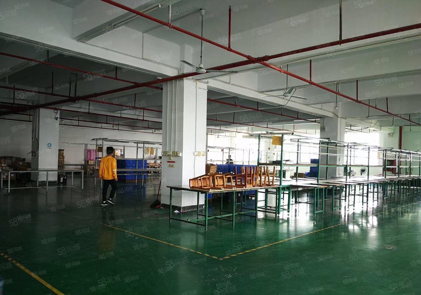 黄江镇龙见田村原房东带装修2楼1600平房厂房出租