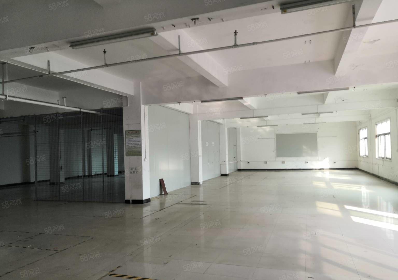 黄江镇中心新出标准一楼700平米6米高