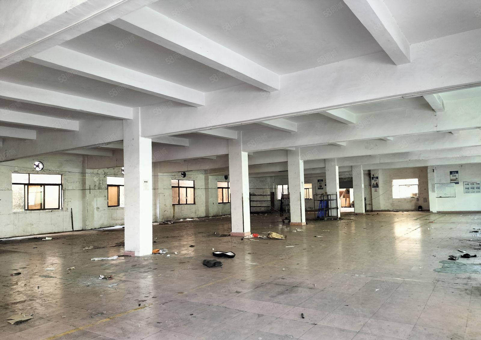 黄江玉堂围附近新出1500平超大空气厂房