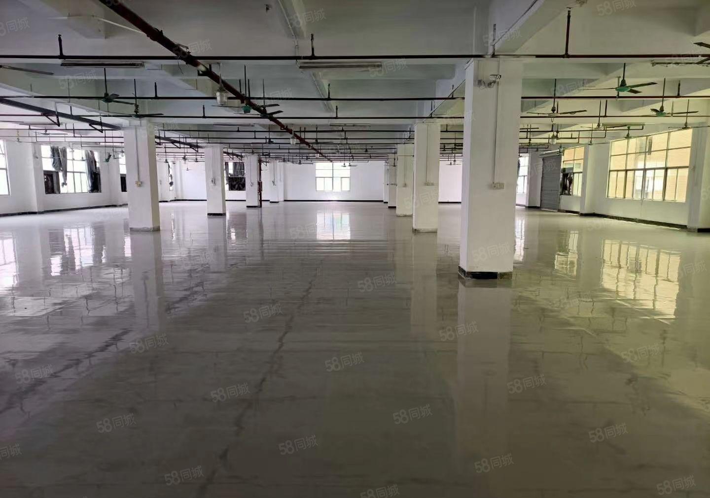 黄江北岸工业区新出一二楼标准花园式厂房，每层1600平，可分