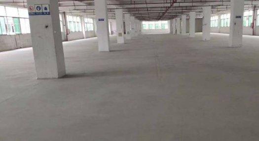 塘厦镇大坪出租楼上厂房6000平带消防喷淋 豪华办公室