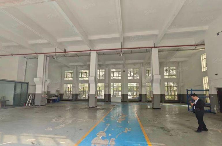 原房东 大岭山杨屋村标准1楼实量面积800平厂房出租