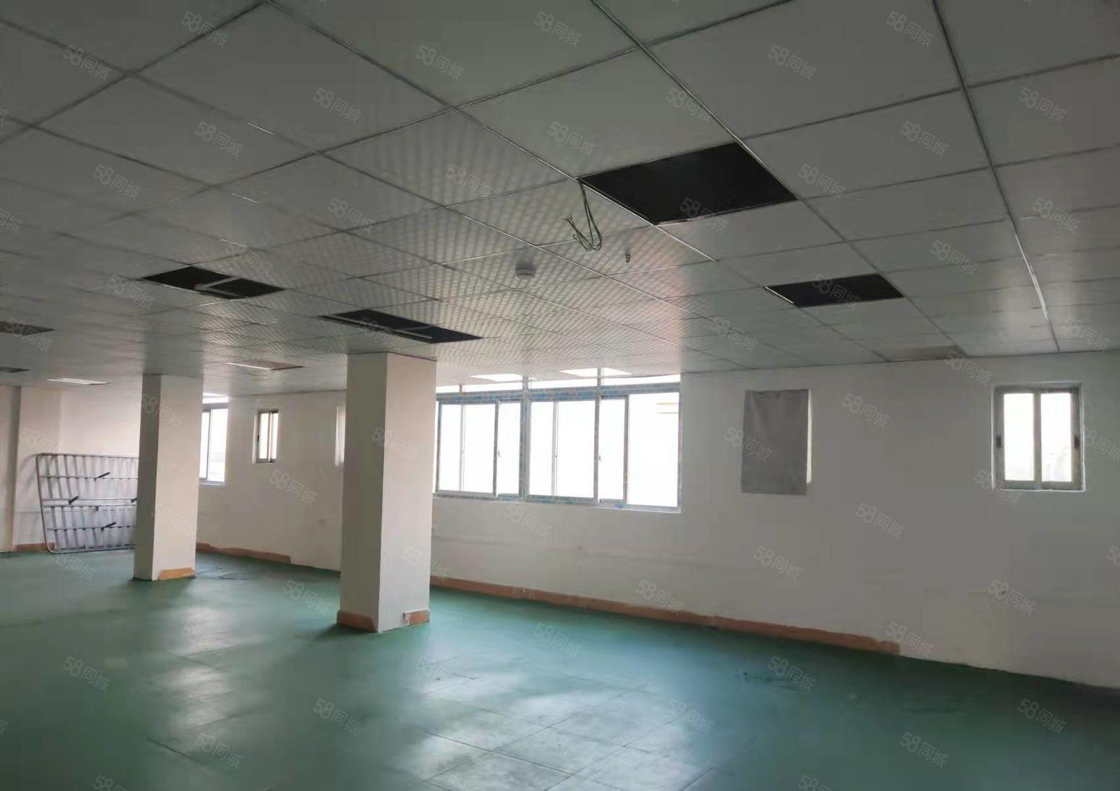 大岭山新出厂房出租450平方带办公室装修，地坪漆天花吊顶