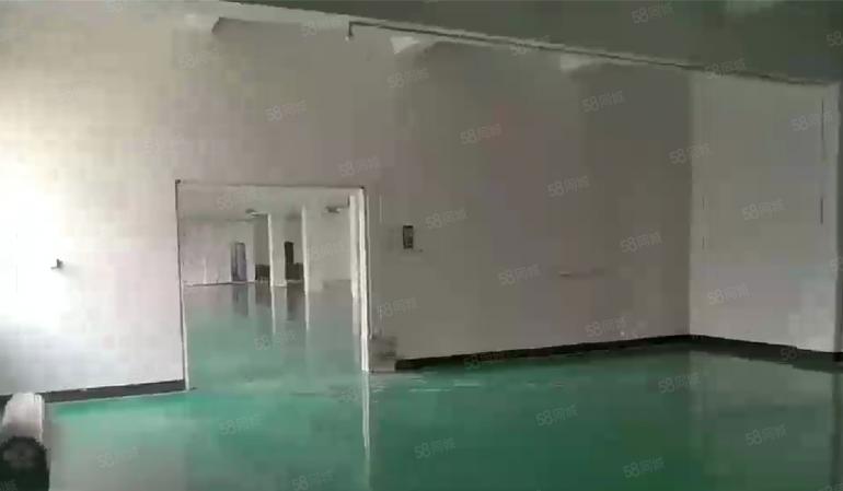 大岭山杨屋高速口附近 现成精装修厂房出租 超低价 可分租