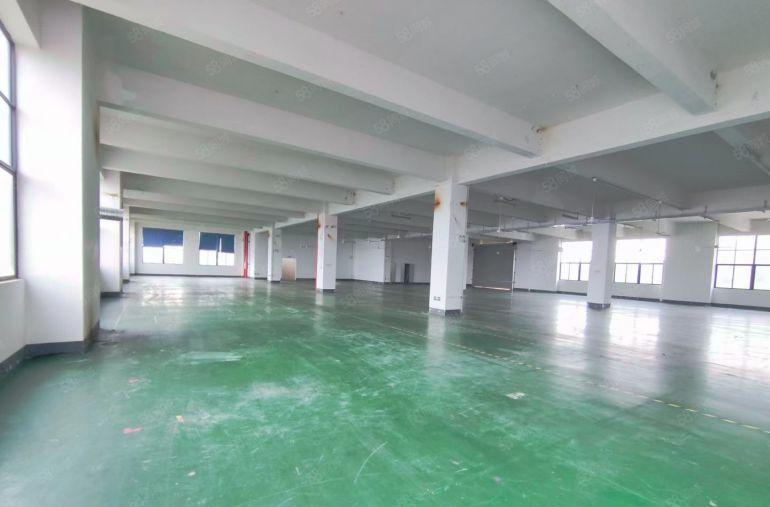 大岭山精装1000平厂房出租，可做人工智能，高端医疗，电子等