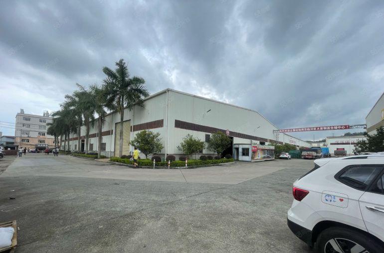 大岭山镇原房东钢构厂房中高11米无公摊现成办公室