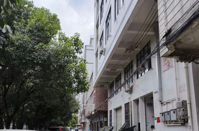 （小厂，带地坪）大岭山楼上320平方，实际面积