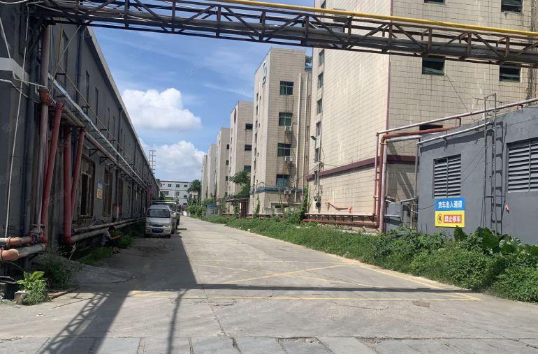 工业区1000平厂房，可架行车，有消防喷淋可办环评，底价出租