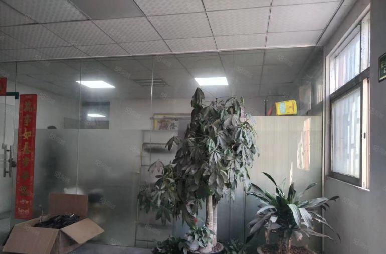 带办公室装修 大岭山出租厂房仓库800平  可办环评可分租