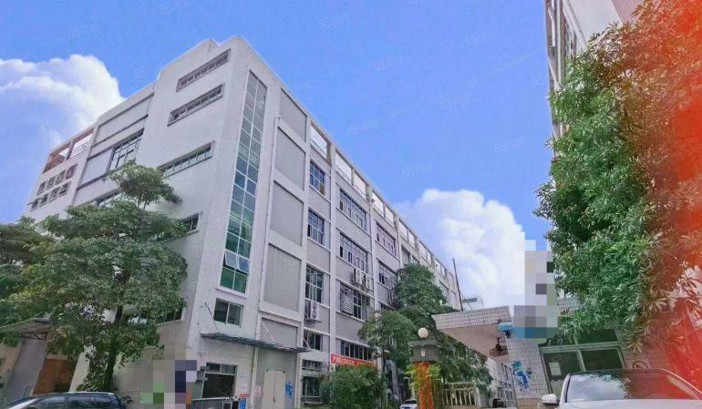 大岭山石大路旁 独院厂房出租 分租一楼 精装修 超低价 可分