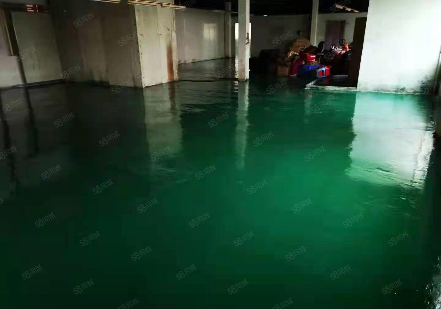 房东直租大岭山二楼厂房带地坪漆10元一平米！无中介无其它费用