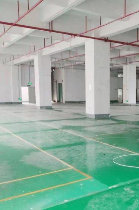 大岭山工业园厂房出租1750平  形象好近高速可分租