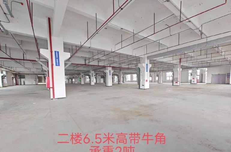 大岭山国有红本石大路边单层面积六千方大小可分一楼高度9.2米