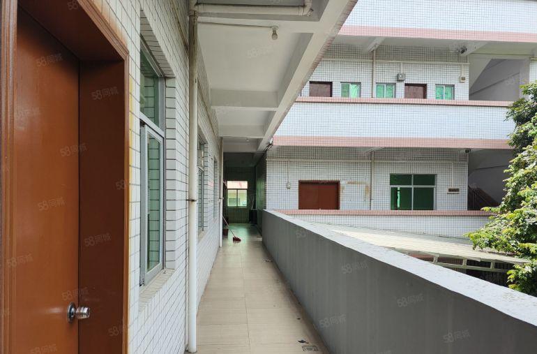 大岭山镇原房东钢钩单一层独门独院带现成航车空地超大周边无居民