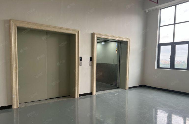 大岭山镇颜屋村原房东1728平无尘车间高速旁边上市公司形象