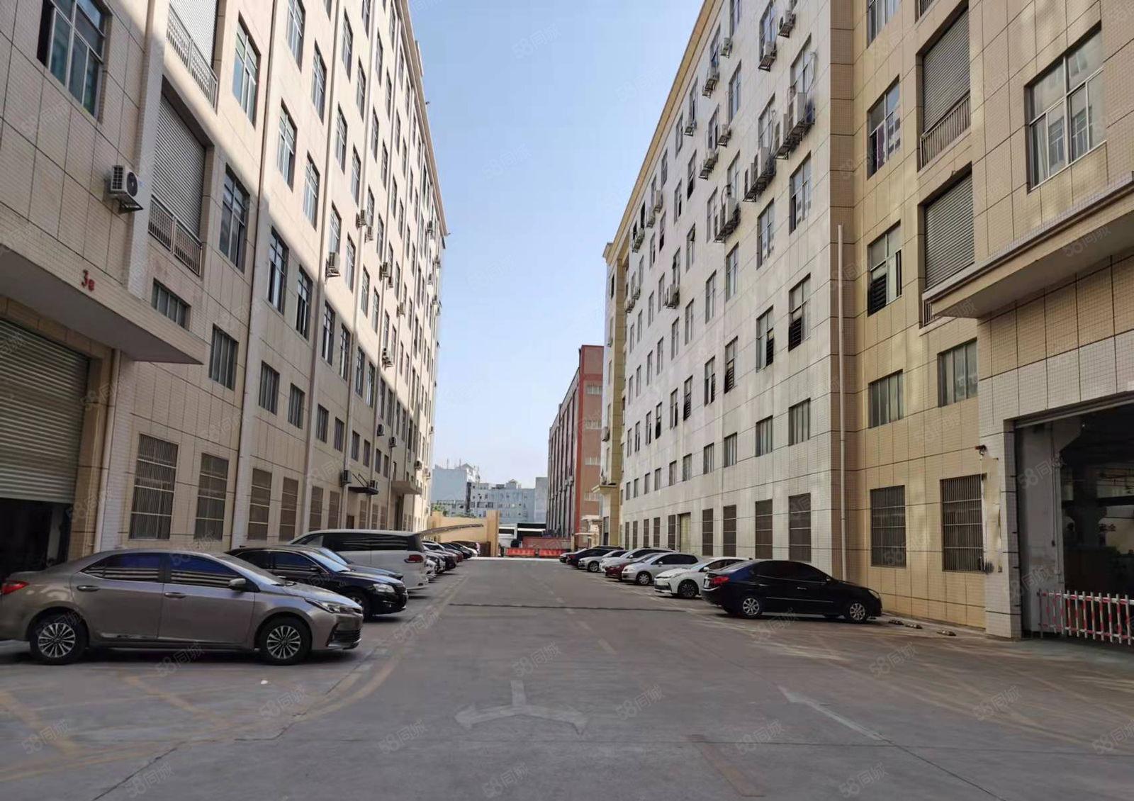 大岭山杨屋G107旁新出一楼2000平厂房出租现成装修带牛角