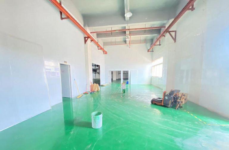 大岭山一楼1380平厂房出租，航车免费用，全新精装修水电齐全