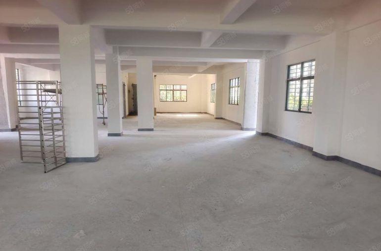 大岭山金桔原房东独栋厂房出租全新小厂房仓库出租水电费自己交