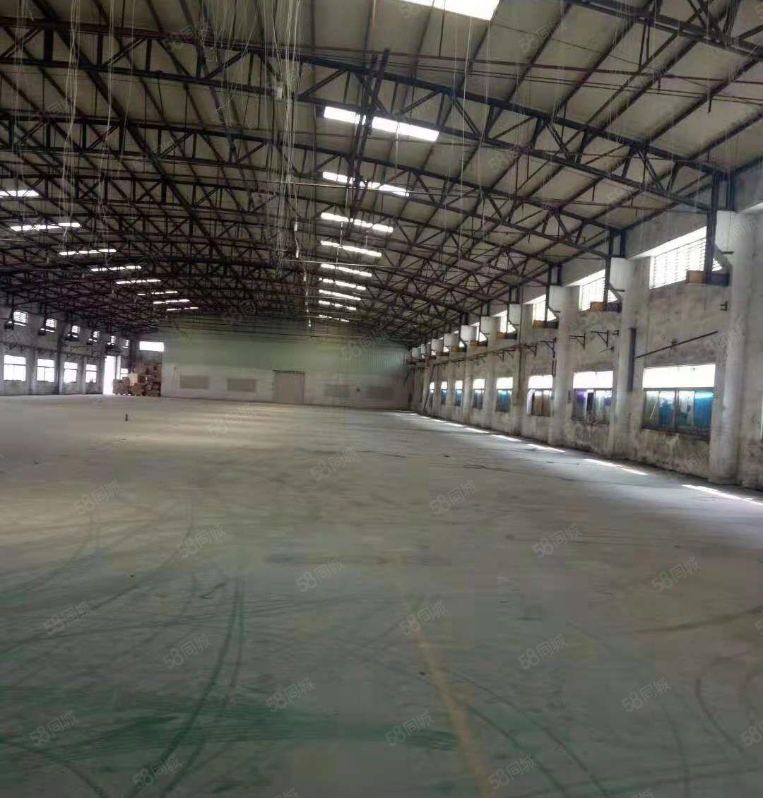 大岭山杨屋107国道边新出独院钢构7500平方招租带卸货平台