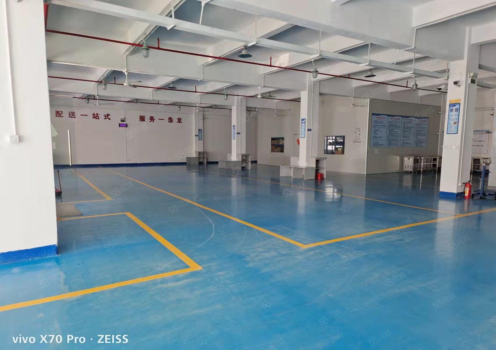 南区107国道边空出原房东独院精装修2F2000平方厂房分租