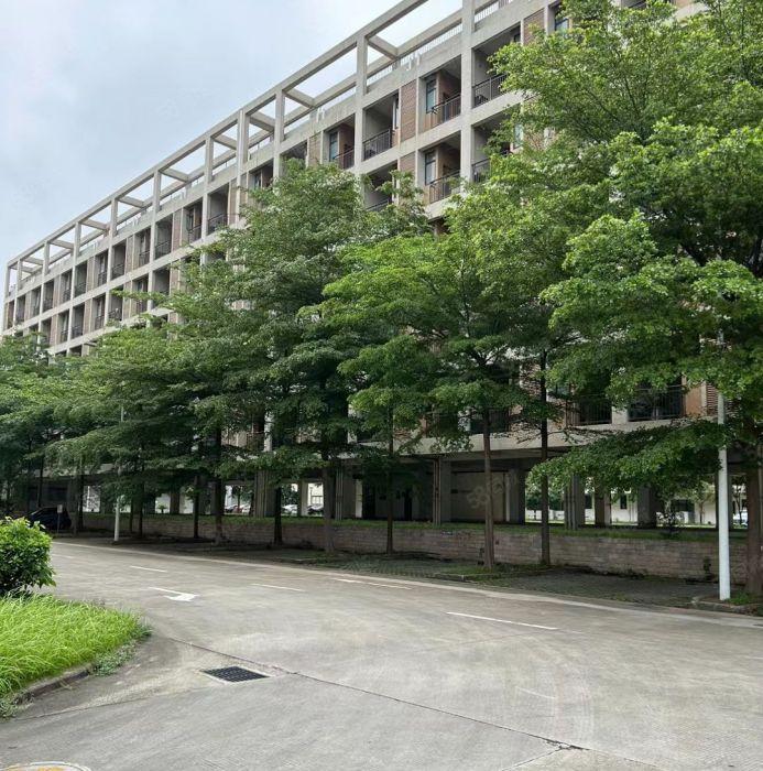 大岭山高大上形象标准厂房出租装修600万现成的不用再铺电线