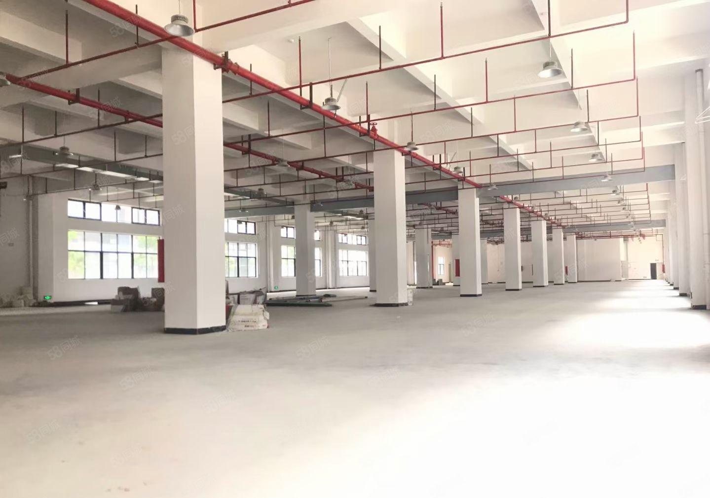 大岭山3万平米红本工业园厂房出租，可办环评，大小分租