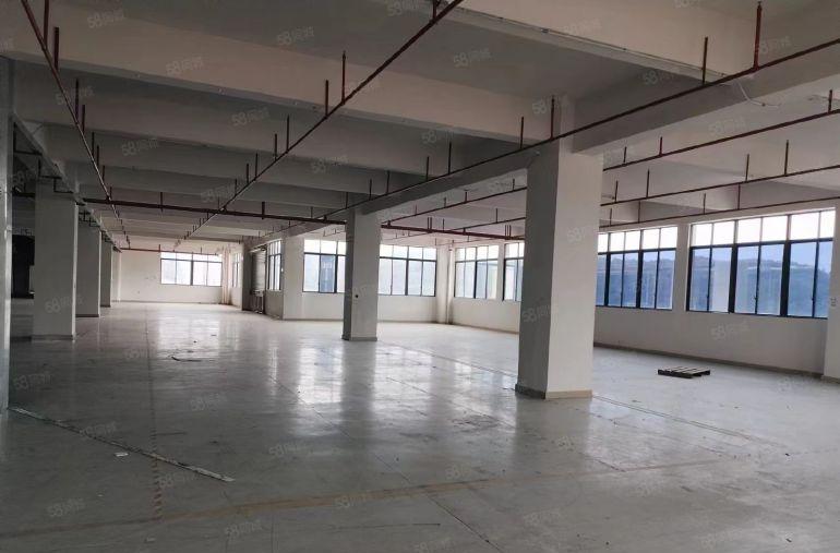 精装修  大岭山厂房出租2980平 可分租可办环评靠近国道