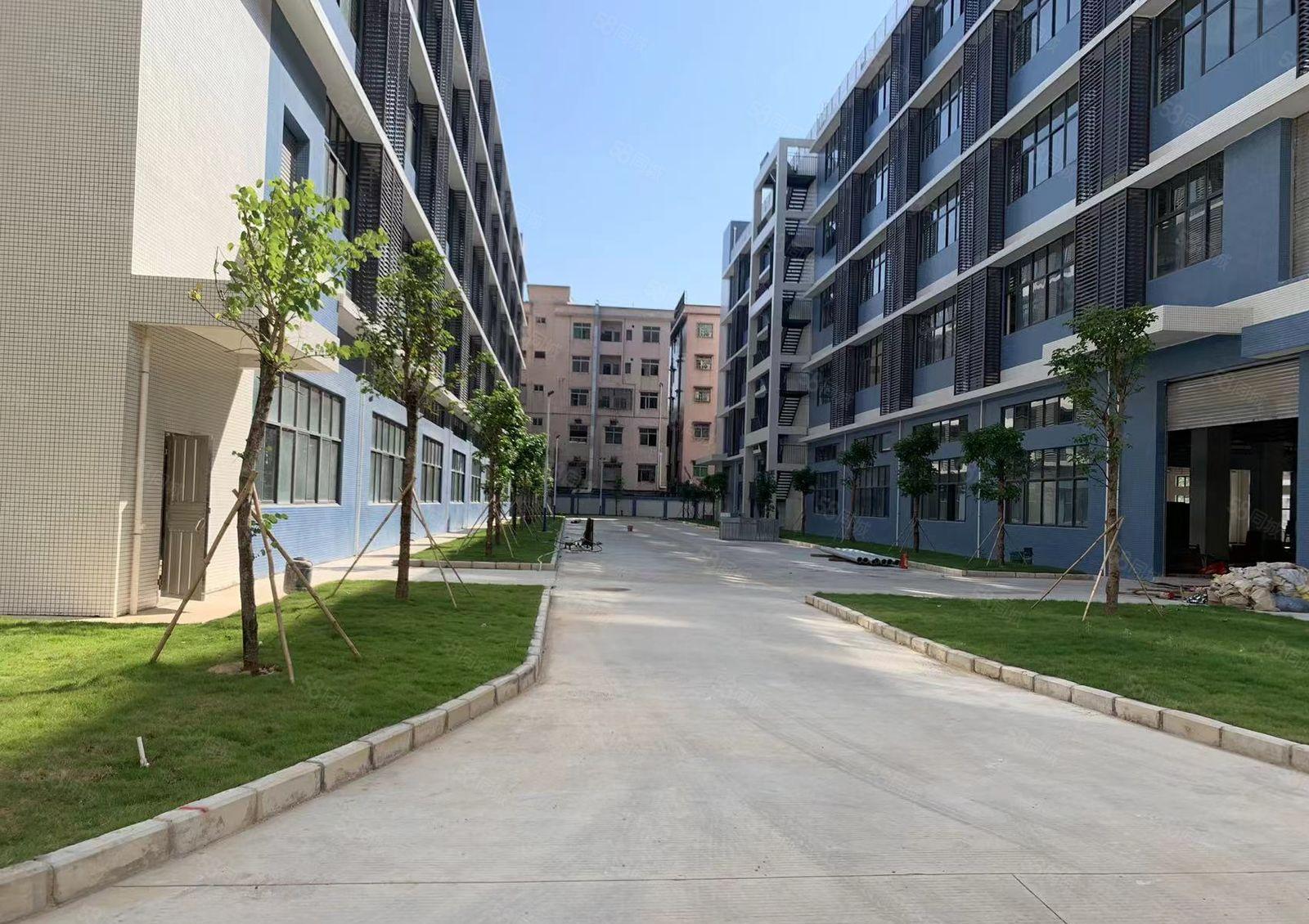 可分租，全新独院厂房60000平上市公司形象国有双证超大空地