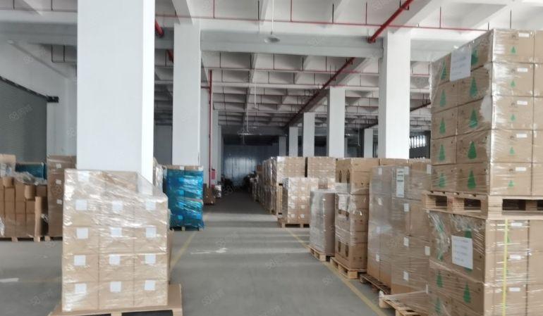 大岭山原房东厂房独院全新园区分租楼上每层3980平实际面积