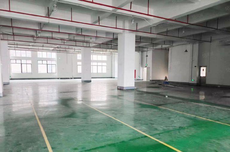 大岭山工业园厂房出租1750平  形象好近高速可分租