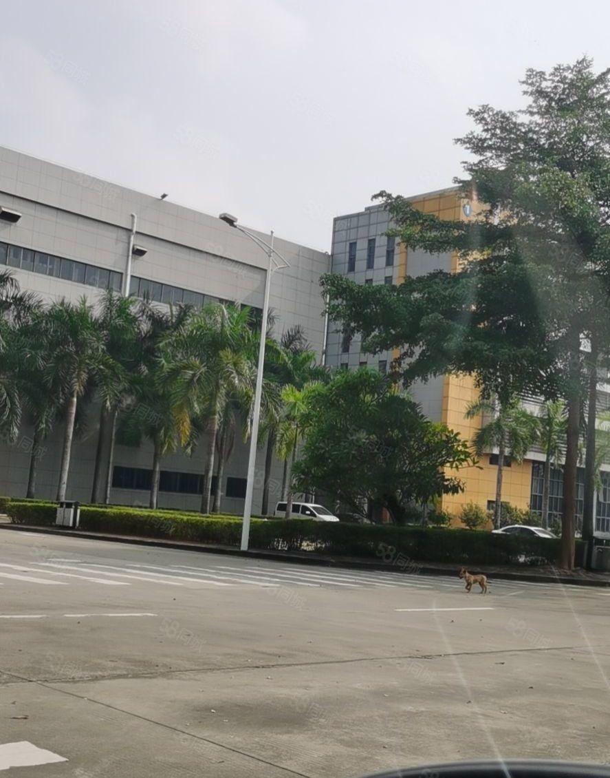 东莞临深片区大岭山镇一手房东独院，带房产证高大上园区厂房出租