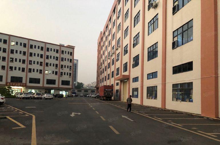 厂房出租大岭山杨屋高新工业园1楼800平厂房低价出租