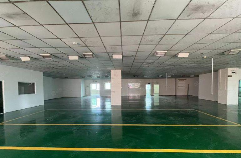 超低价 大岭山镇石大路新出工业园区楼上1300平厂房出租