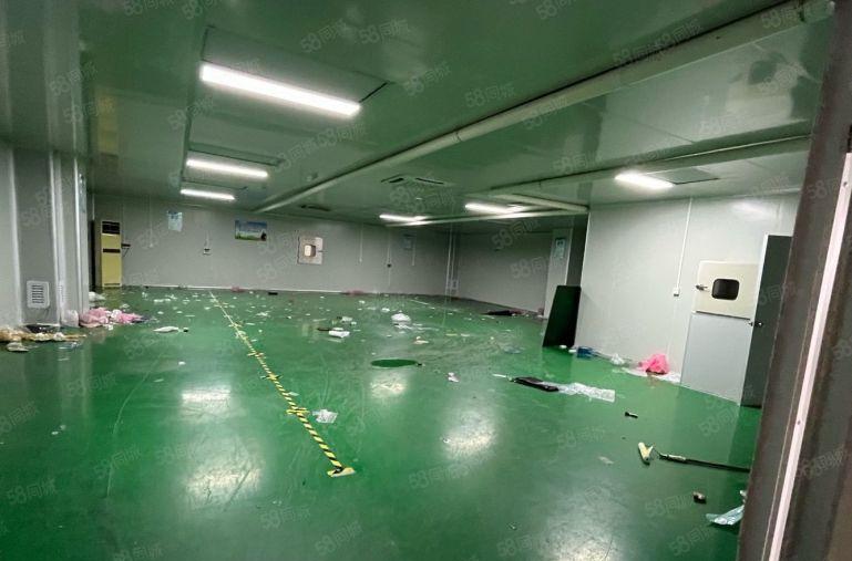 低价厂房出租大岭山杨屋楼上洁净车间900平带精装修现成地坪漆