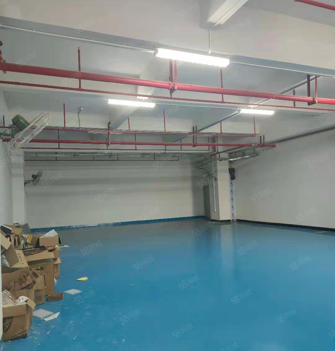 大岭山杨屋新出楼上3000平带精装修厂房，现低价出租，可分租