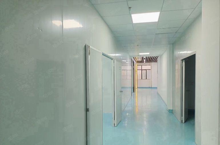 大岭山大塘独院二楼1600平米精装修厂房出租，