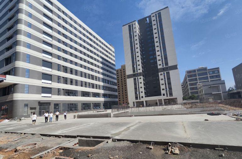 大岭山杨屋高速路口，全新厂房仓库出租，10元实量，7部5吨梯