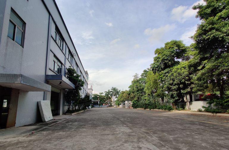 水朗工业区新出超大空地标准厂房一楼1000平方，实际面积出租